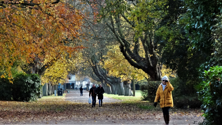 Decision record: Contractor appointed for East Park parking and footpath improvement works