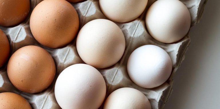 Morrisons recycles food waste to support egg production