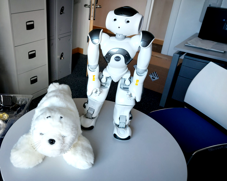 Social Robots Purchased by Lincoln School of Health and Social Care
