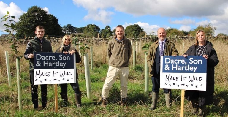 Tree-planting scheme helps estate agency offset 100 tons of carbon emissions