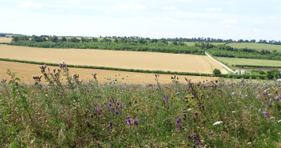 New round of Countryside Stewardship funding opens for farmers
