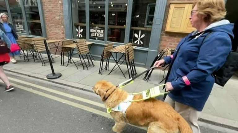 York considers changing rules for city’s pavement cafes