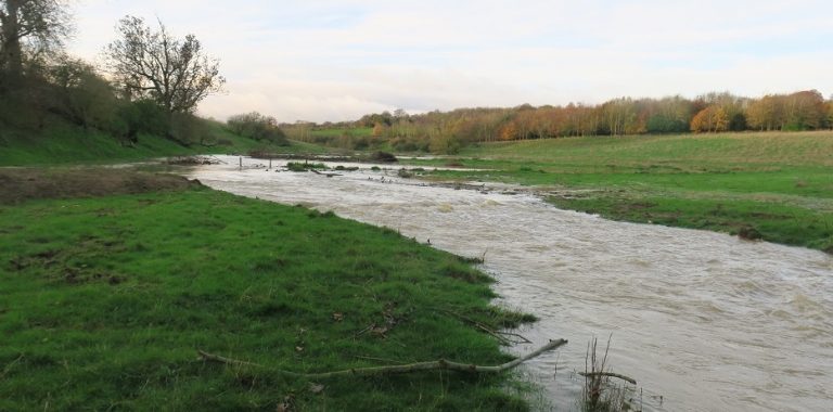 Yorkshire firms help with environmental project on Lincolnshire river