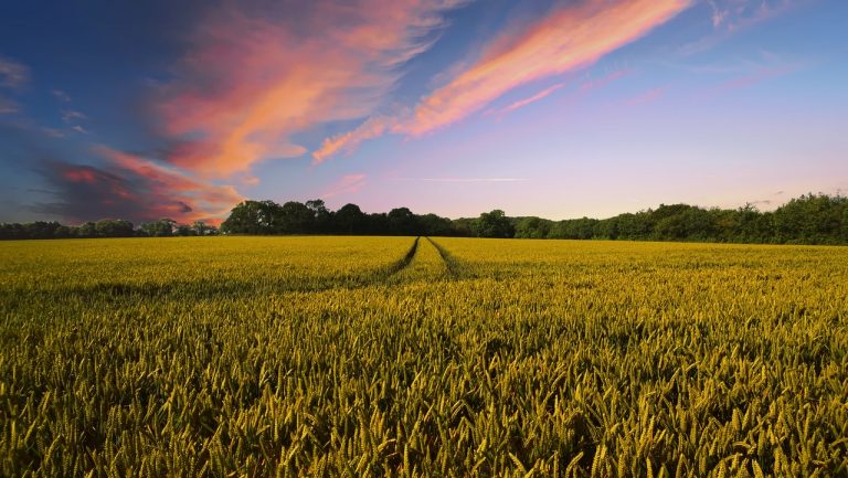 Farmers share in grants worth more than £870m