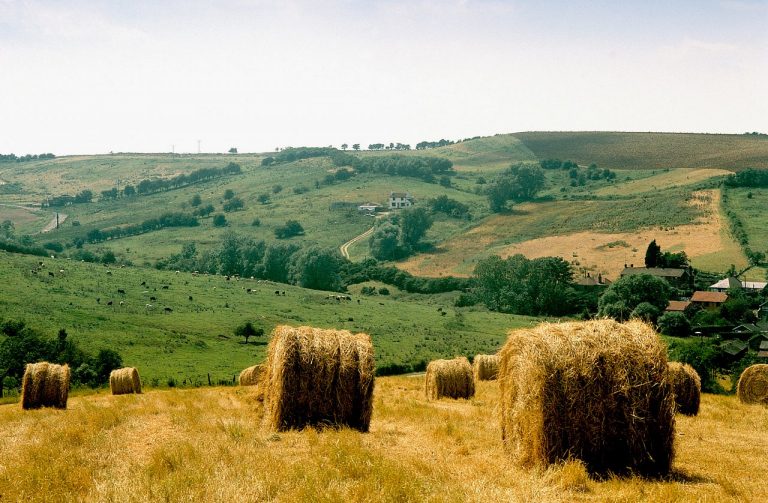 Councils bring businesses together to explore opportunities in Lincolnshire Wolds