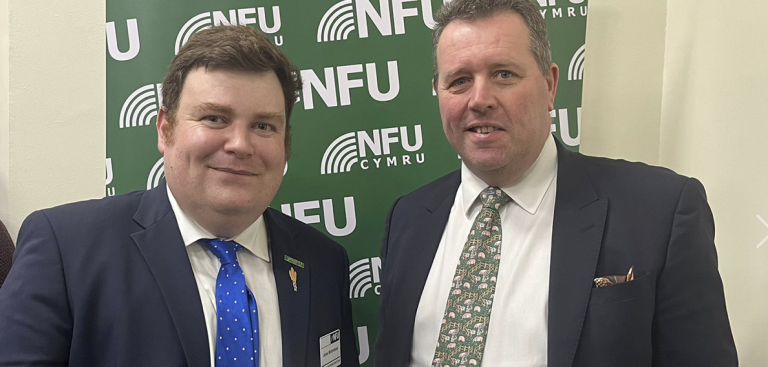 Poultry producers share severity of industry challenges with MPs