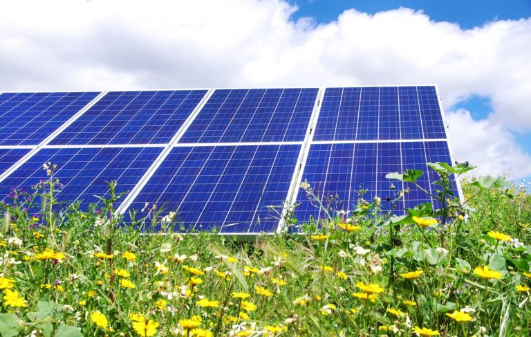 New solar farm proposed for North Kesteven, powering over 180,000 homes