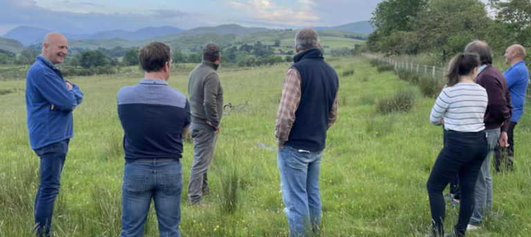 Yorkshire Dales farmers get a further year of support from grant scheme