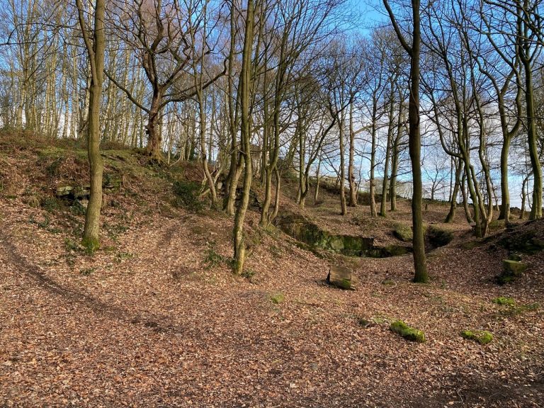 Sale agreed for parcel of amenity woodland following successful crowdfunding campaign