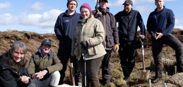 New use for worthless wool could protect against flooding and increase hill farmer income