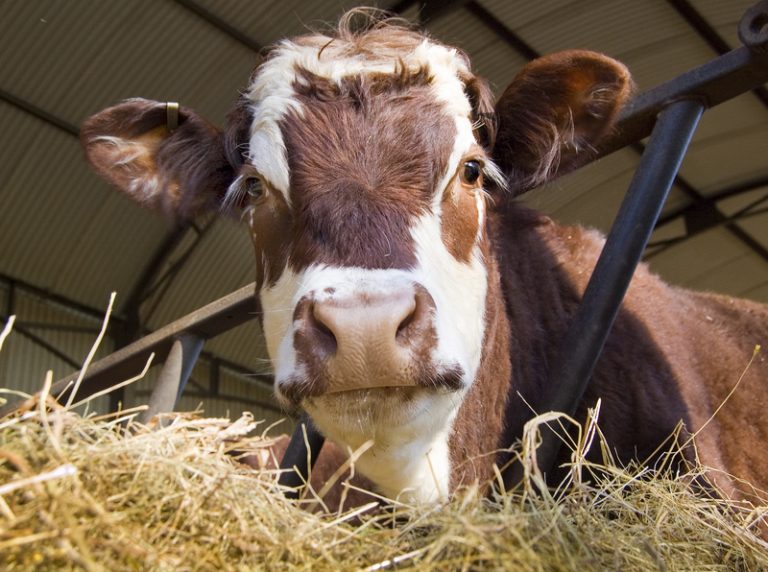 Government pumps more than £9m into farming to boost productivity