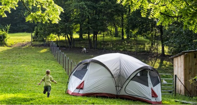 Farmers could benefit from changed rules on camping and solar canopies