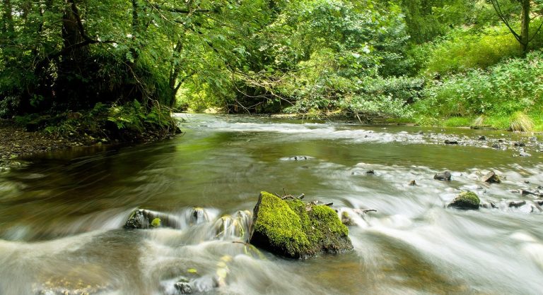 North Yorkshire tourism businesses invited to help shape county as a destination