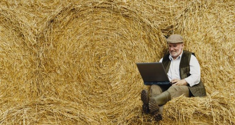 Government pledges £7m to support internet connectivity for businesses in rural areas