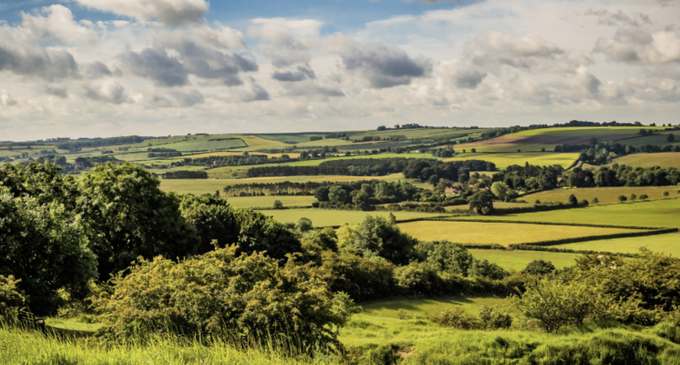 Businesses invited to shape policy for Lincolnshire’s tourism economy