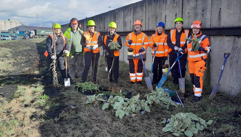 Firms collaborate to create wildlife oasis