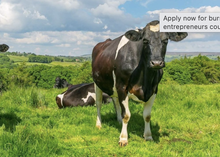 Future dairy farming entrepreneurs invited to apply for bursaries