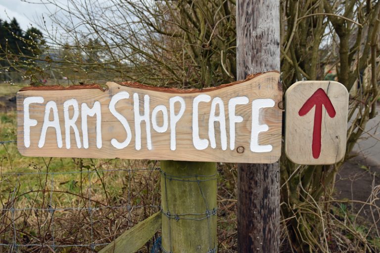 New Defra fund offers grants to support SME capital projects