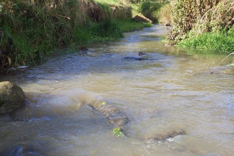 Firms to donate £135,000 after Bradford pollution incidents