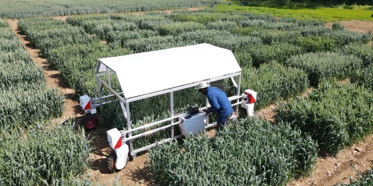 Universities share in multi-million pound grant to drive development of agro-tech