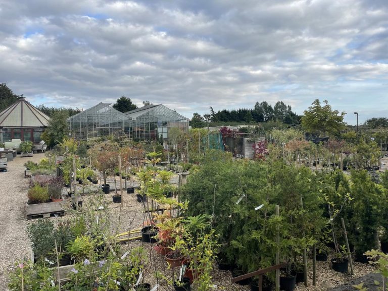 Lincolnshire garden centre hits the market after 40 years of family ownership