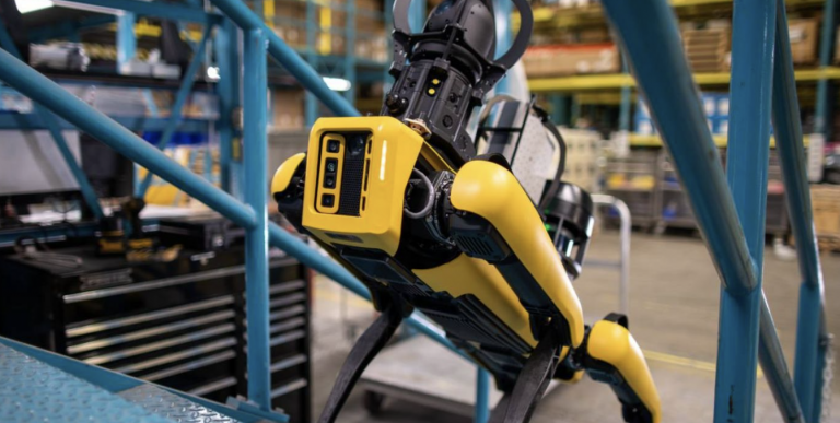 Drones, racing cars, and robot dogs: LEP demonstrates the future of business tech
