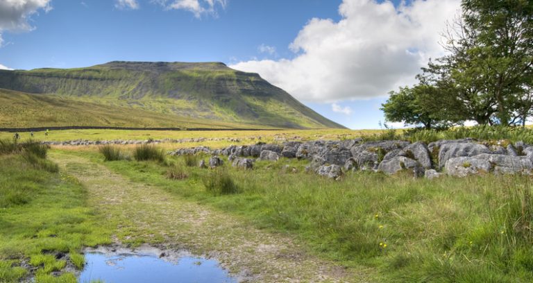 Leeds firm commits to supporting environment with funds for Wild Ingleborough