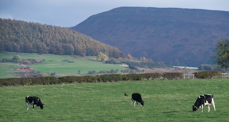 Business leaders endorse North Yorkshire plans for economic growth