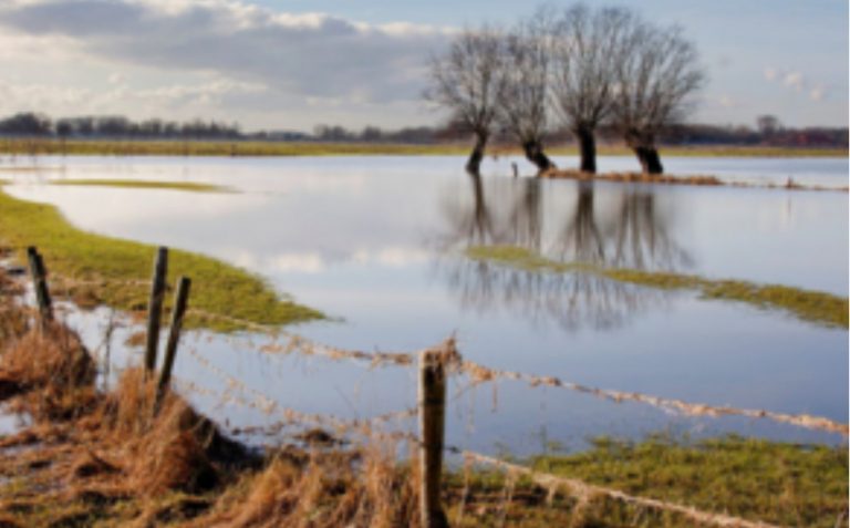 Lincolnshire farmers offered grants to pay for flood damage