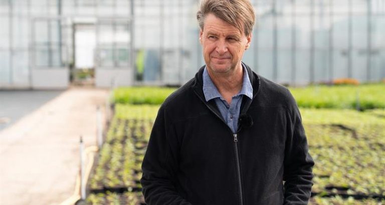 Border delay over seed inspection causes worry for farmers and growers