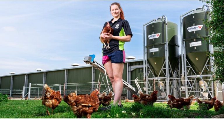 Solar and batteries futureproof Lincolnshire poultry operation