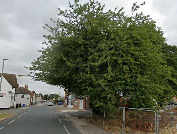 Felling protected tree costs Goole property developer more than £6,000