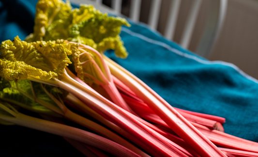 Yorkshire rhubarb and cheese get special status in Japan