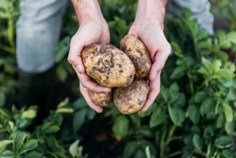 Yorkshire farms receive funding to cut energy and emissions