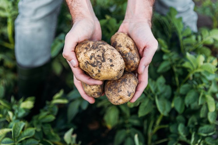Yorkshire events provide support to farmers on Budget proposals