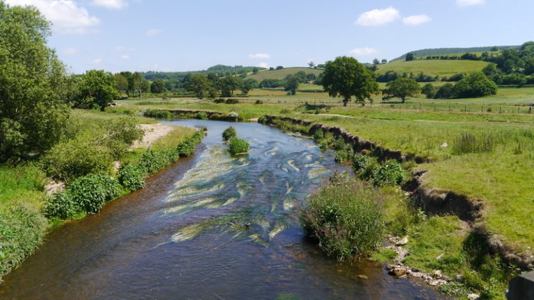 New laws create ‘bonus ban’ for bosses of firms polluting UK rivers