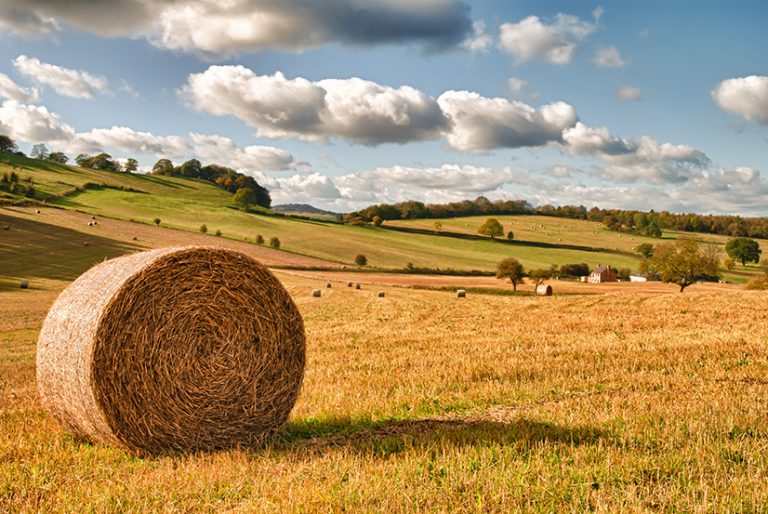 Farmer confidence drops as economic uncertainty builds
