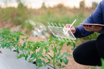 Skills investment key to Lincolnshire food sector growth