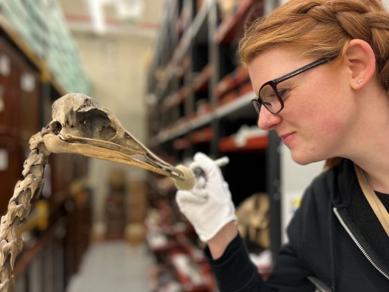 Museums give Leeds economy multi-million pound boost