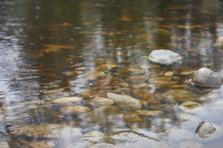 Yorkshire Water launches £3m Leyburn wastewater project