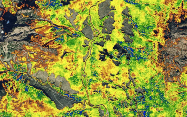 Drax partners with NGIS to monitor forest carbon stocks